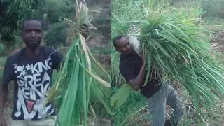 African  village daily  routine lifestyle