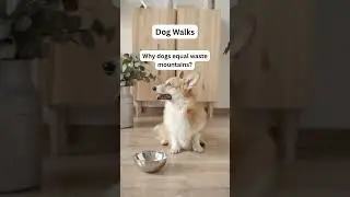 Eco-Friendly Pet Care Tips | Sustainable Dog Hacks-Eco Tips for Dog Owners | GoEcoPaw Hacks