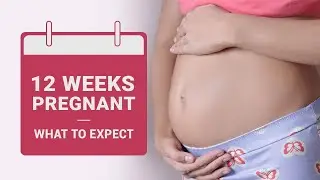 12 Weeks Pregnant | Pregnancy Week by Week (Symptoms, Baby Size, Diet and More)