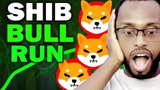Shiba Inu coin Next Move Will Whale Activity or Open Interest Win