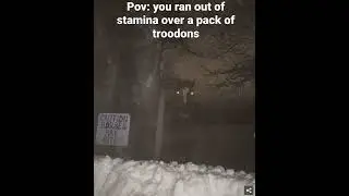 Pov: you run out of stamina over a pack of troodon