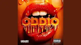 Oddio