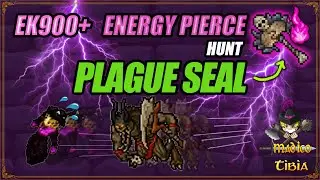 EK900+ Hunt Plague Seal teste Crypt Splitter Energy Pierce