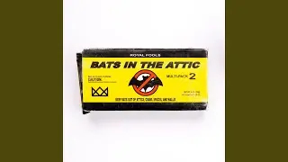 Bats in the Attic