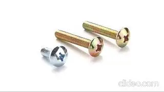 Trust Head Screw in MS & SS