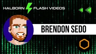 Halborn Flash Videos with Brendon Sedo of Core DAO