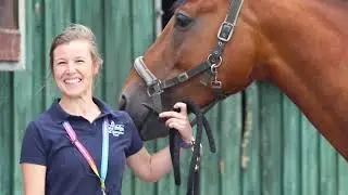Study Equine at Duchy College Stoke Climsland
