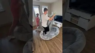Giant dog bed for humans nap &ldquo;link&rdquo; in comment section #shortfeed #shortvideo #products