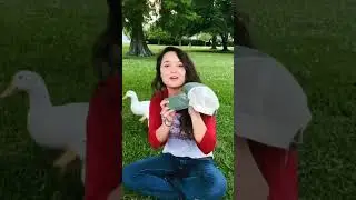 #picklewheat#swamppeople2023#youtubeshort#Viralshort#