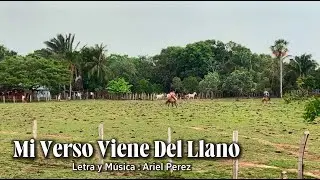 Mi Verso Viene Del Llano - Ariel Perez (Video Oficial)