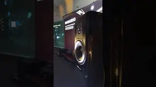 Dynaudio Contour 20 (Audio Video Show 2025)