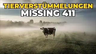 Missing 411 und Tierverst&uuml;mmelungen - gibt es einen Zusammenhang?