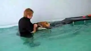 Four Paws Aqua Dog Hydrotherapy Pool - BAXTER