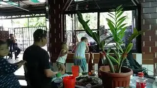 Zander & Zion dancing @ christmas party 2019