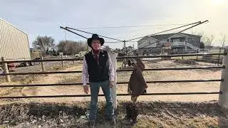 IFA cowboy poetry contest