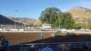 Morgan County Fair Demolition Derby Derby Madness Minis Winners announced