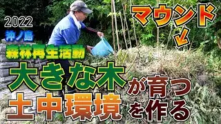大きな木が育つ土壌を作る！2022年秋の草刈りとマウンドのメンテナンス「館山・沖ノ島の森林再生」