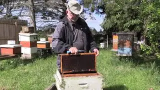 Recycling Beeswax Combs