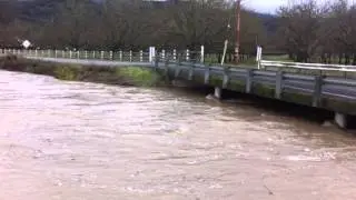 Alley Creek at Pitney Lane in Upper Lake, 12/23/12