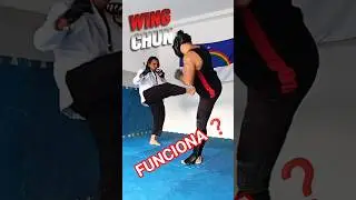 FUNCIONA ❓ #kungfu #wingchun #mma #karate #capoeira #taekwondo