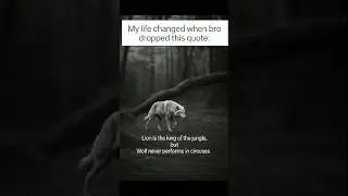 DAY 2 : LION is the king but WOLF never performs in  circus 🥹 #shorts #motivation #funny #viralvideo