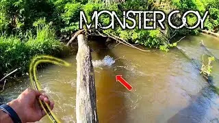 MEMANCING IKAN HAMPALA DI ARUS DERAS MEMANG AMAZING || Reynold sb 24/0619