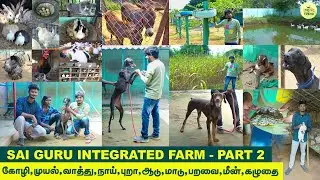 ஒரே இடத்தில் | ஒருங்கிணைந்த பண்ணை | sai guru integrated farm | Part 2  |  Vlog Tamizha