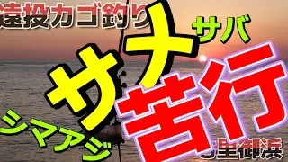 2025年秋、絶好調の七里御浜ですが今年はサメが大量発生。サメの猛攻をかわしながら、シマアジ、サバ等の青物を拾っていきました。そんな苦行とも言える、遠投カゴ釣りの釣行記をお伝えします。そして珍客も。