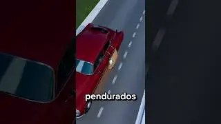 O PERIGO DE CARREGAR UM CACHORRO NA LATERAL DO CARRO  🐶🚗