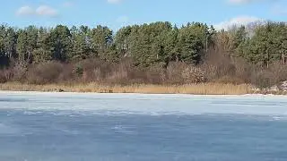 Winter Forest Pond | Vivaldi - Winter ( Four Seasons )