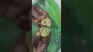art#vege#green papaya flower carve#beautiful flower cutting style with papaya#papaya flower art#vege