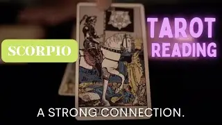 Scorpio Why fight this connection? July Tarot Reading Tarot After Dark