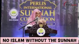 No Islam without the sunnah #islam #islamic #quran #allah #hijab #halal #sunnah assim al hakeem