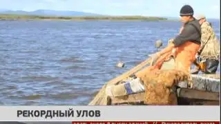 Рекордный улов. Новости. 22/11/2016. GuberniaTV