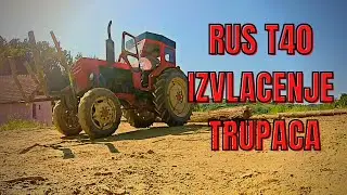 Rus T40  izvlacenje trupaca