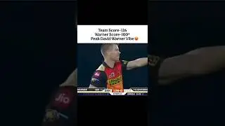 Team Score-126 Warner Score-100* Peak David Warner Vibe