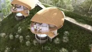 ThinkTree Bismi Together   Lets Build Green