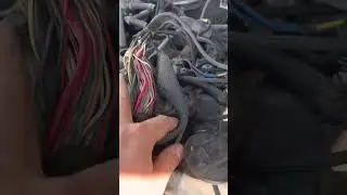 Nissan saffari 2014 turbo motec ecu harnass damage 🥵