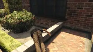 THE JERK