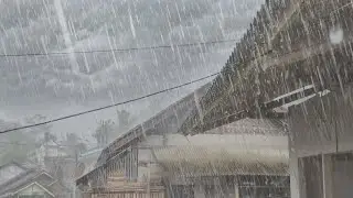 My village was hit by a storm of rain and strong winds, very suitable for sleeping, ASMR