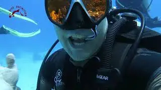 Cleaner Fish is Cleaning Teeth