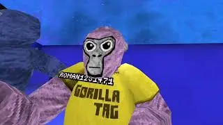 VR playing tag 