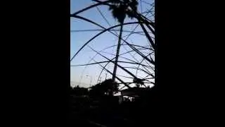 Sacramento tree trimming Artisan All Tree