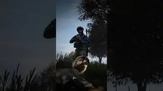 DayZ Mutual Destruction