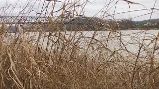 Environmental groups want stricter regulations for Ohio River