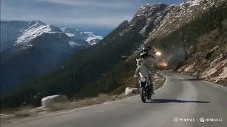 Snow leopard chase