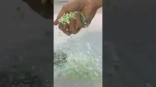 ASMR WATER SOUNDS - scent boosters falling into warm water
