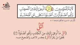 تصحيح الأخطاء الشائعة في تلاوة العنكبوت والروم والدخان