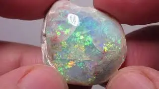 Opalisierte-Opal-Muschel, Kristallopal-Muschel, Opal 000827 s