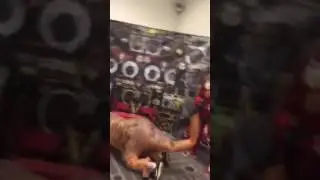 Dinosaur V's HipHop Trooper